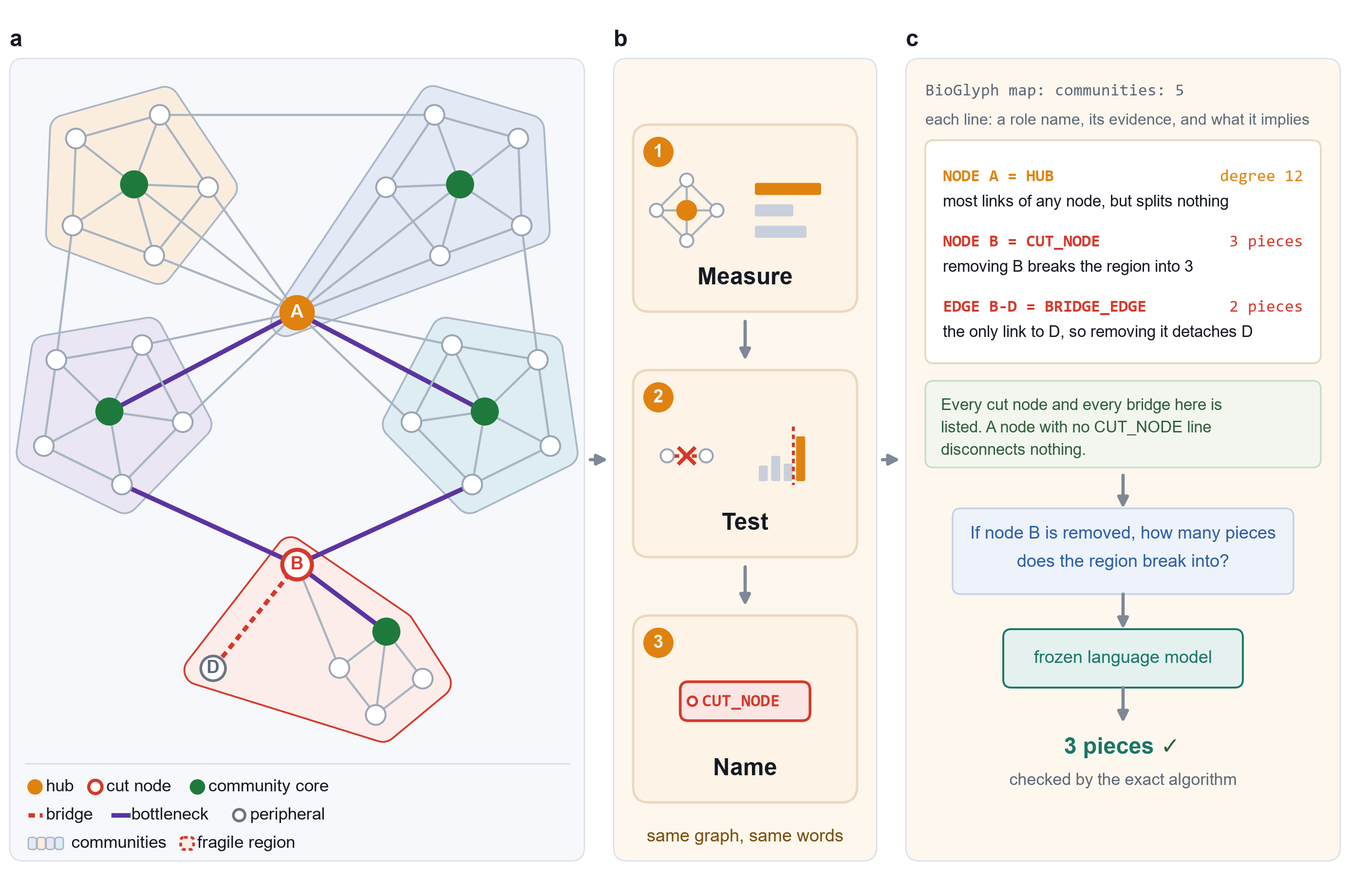 Panel a: a 31-node network in five communities with hub, cut node, bridge, community core, cross-community connector and bottleneck link marked. Panel b: the compiler runs classical algorithms, then one fixed rule per role. Panel c: the resulting readable description, and a frozen model answering from it.