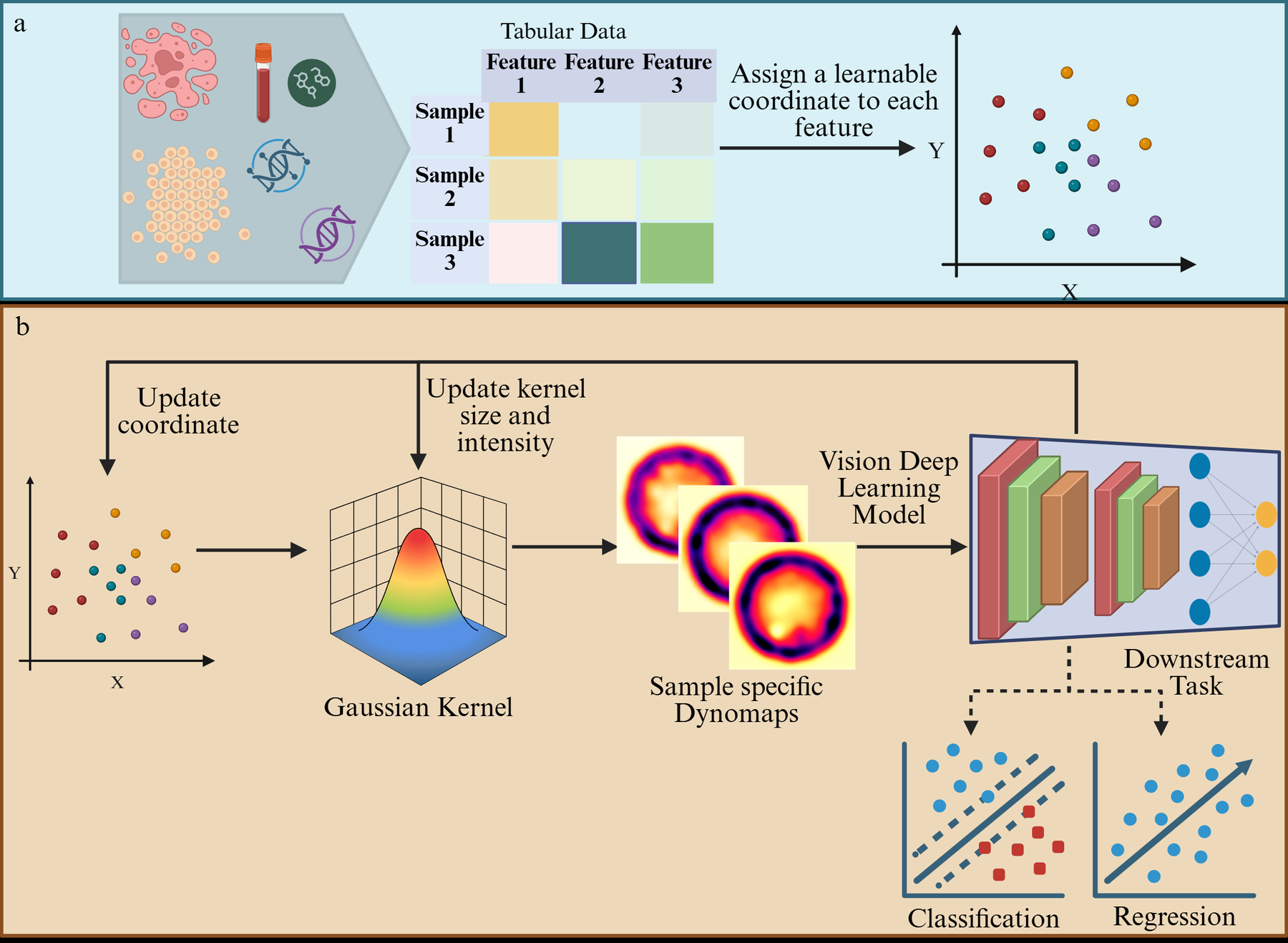 Figure 1 of the current Dynomap manuscript, showing learnable feature coordinates, Gaussian rendering, sample-specific maps, and downstream prediction.